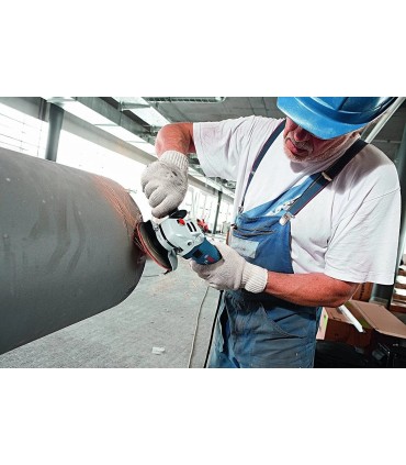 Bosch Professional Grinder GWS 750 115 mm