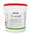 Bioscud 5 kg Rosso Kerakoll