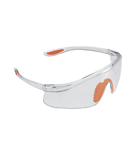 Occhiali da Protezione Protect Kapriol